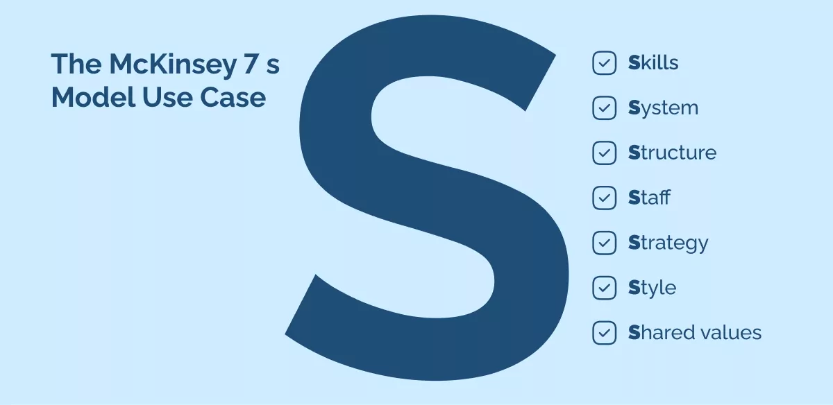 The McKinsey 7 s Model Use Case