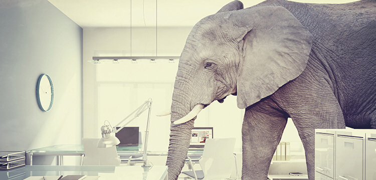 Are You Ignoring The Elephant In The (Change) Room?