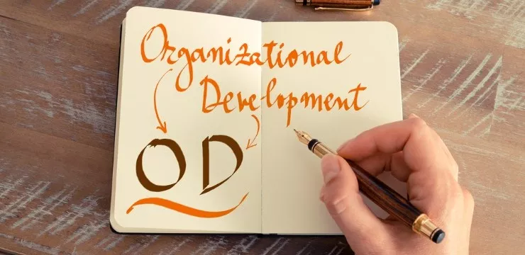 What is Organizational Development: The Leading Benefits