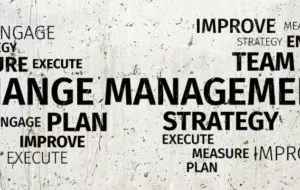 Why Should You Supply Change Management In Your Organization?