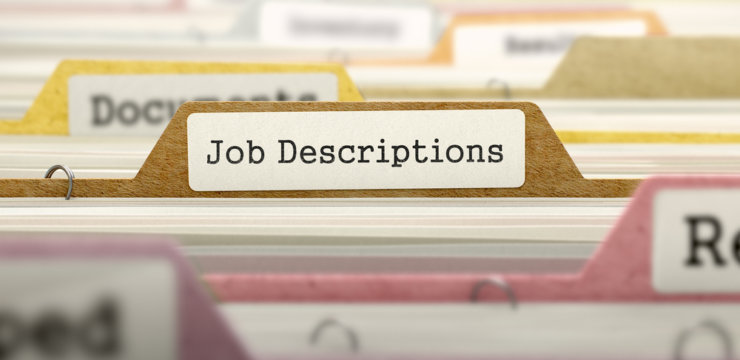 new-change-management-job-description-overview