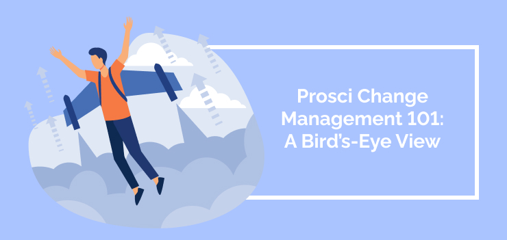 Prosci Change Management 101: A Bird’s-Eye View
