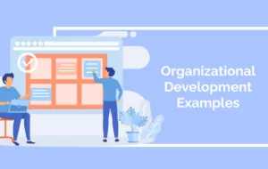 Organizational Development Examples