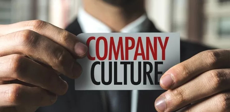 What Is the Relationship Between Organizational Culture and Change?