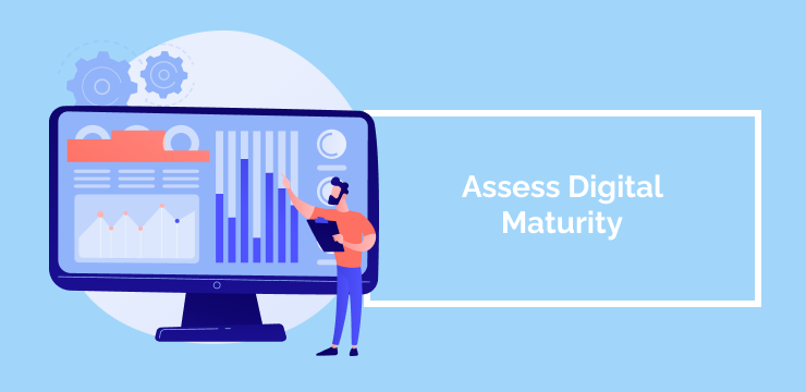 Assess Digital Maturity