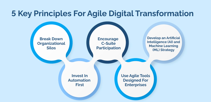 5 Key Principles For Agile Digital Transformation
