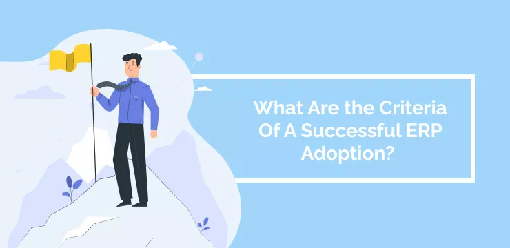 What Are the Criteria Of A Successful ERP Adoption_