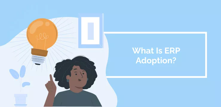 What Is ERP Adoption_