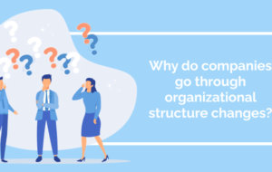 The Importance Of Organizational Development Interventions