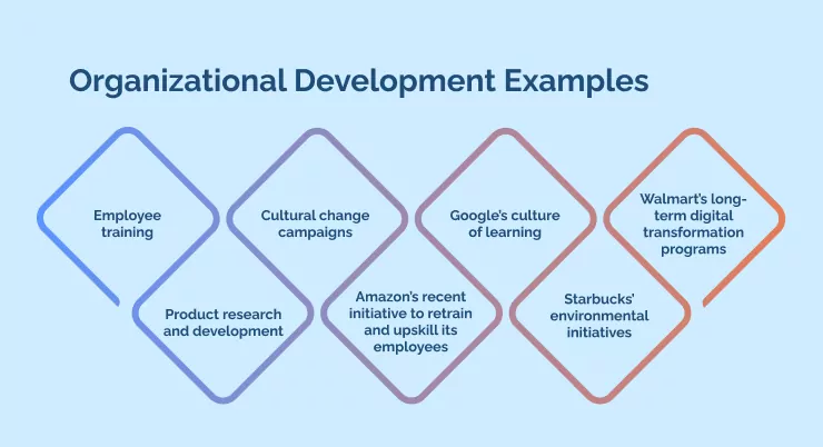 Organizational Development Examples-1