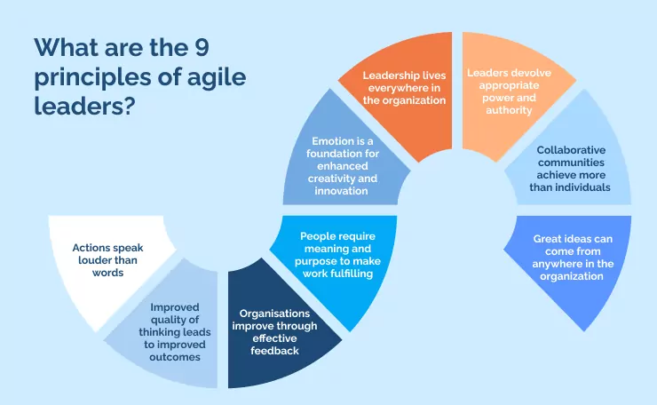 What are the 9 principles of agile leaders_