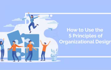 How to Use the 5 Principles of Organizational Design