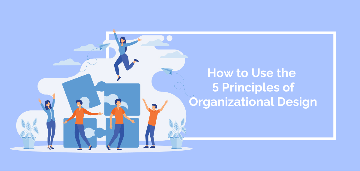 How to Use the 5 Principles of Organizational Design