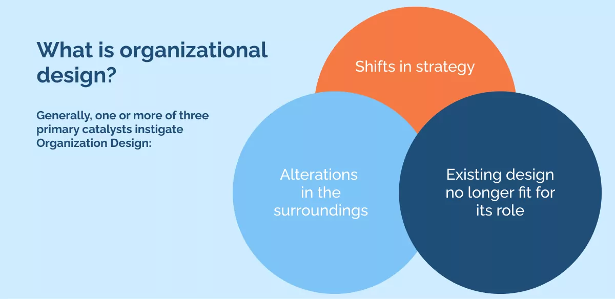 What is organizational design_