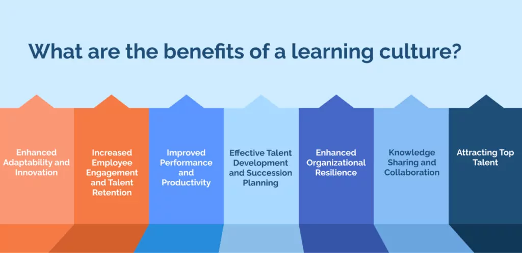 What are the benefits of a learning culture_