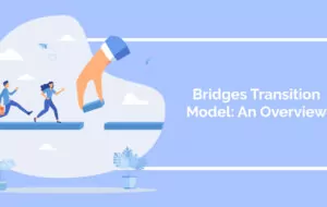 Bridges Transition Model: An Overview