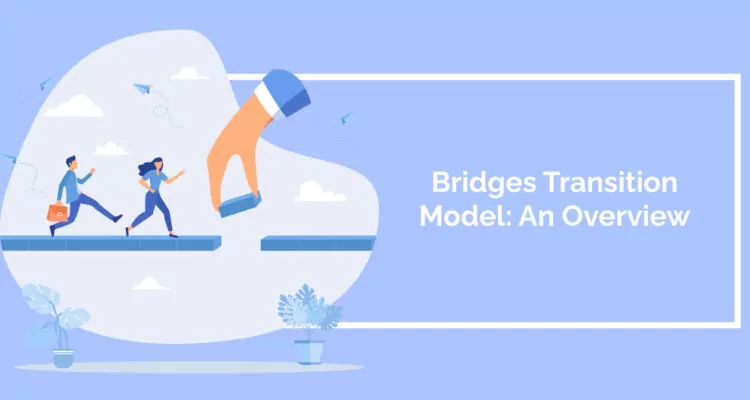 Bridges Transition Model: An Overview