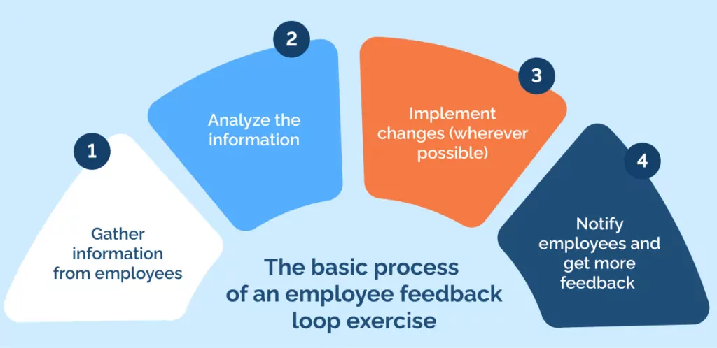 The basic process of an employee feedback loop exercise